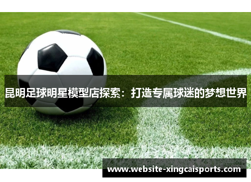 昆明足球明星模型店探索：打造专属球迷的梦想世界