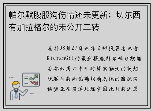 帕尔默腹股沟伤情还未更新；切尔西有加拉格尔的未公开二转
